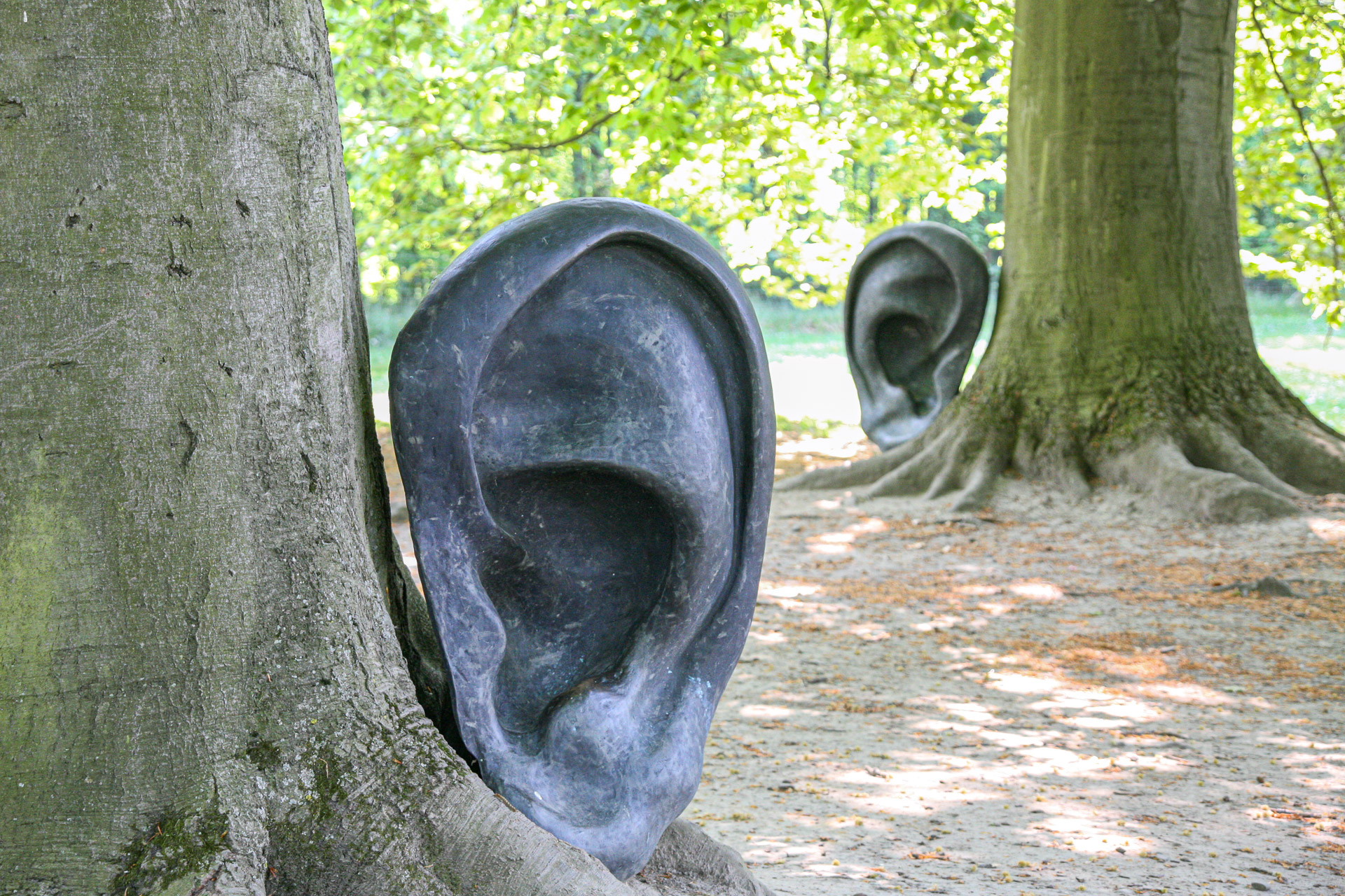 20070429101408 IMG 5361